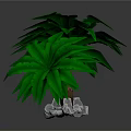 Cartoon Scene Featuring Two Palm Trees with Green Leaves Brown Trunks and Gray Stones